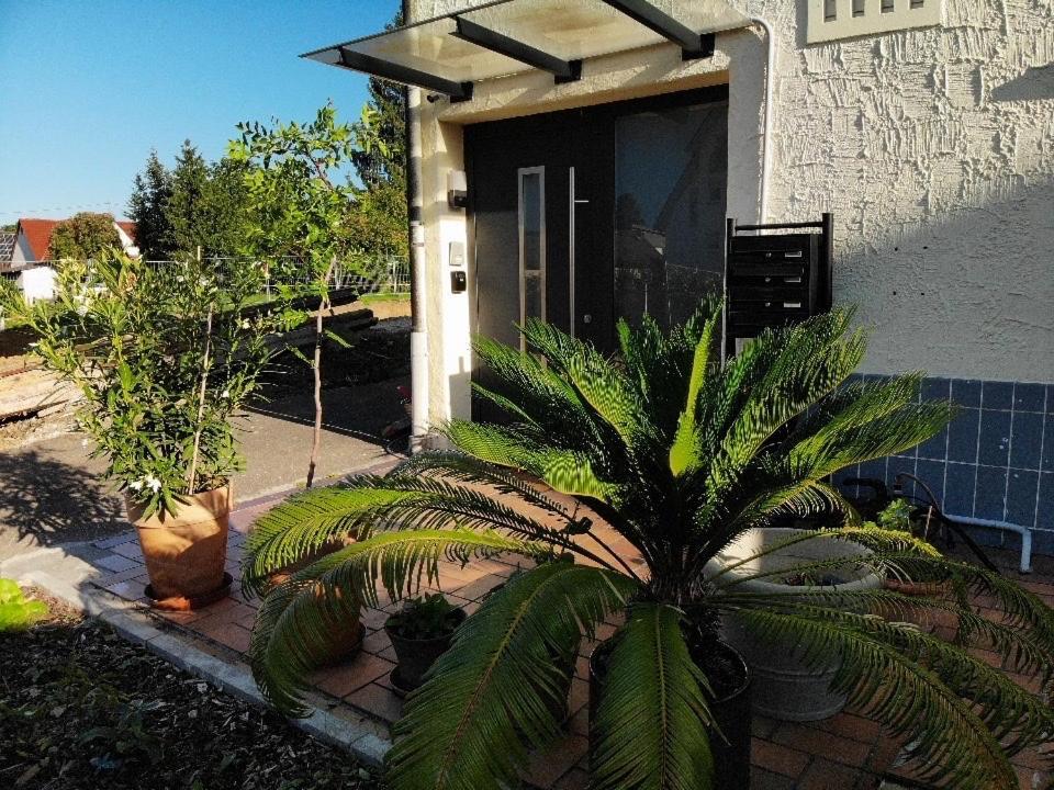 Gemuetliche 3 Zimmer Wohnung Mit Grosszuegiger Terrasse Im Gruenen Reutlingen Eksteriør bilde